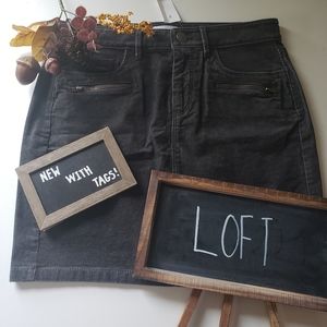 NWT + Loft + Courdory skirt
